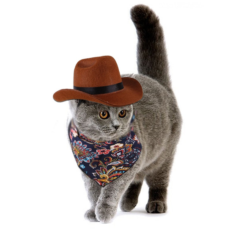Cowboy Hats for Cats