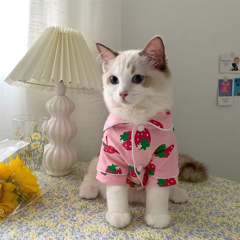 Cozy Cat Clothes
