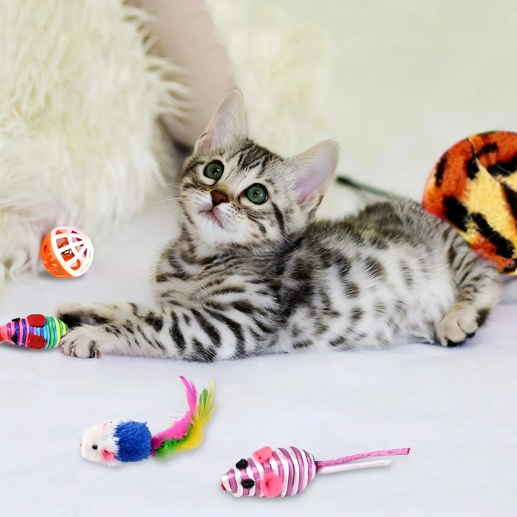 Giochi per gatti interattivi e divertenti – palline, tunnel, tiragraffi e giochi elettronici per gatti attivi e felici