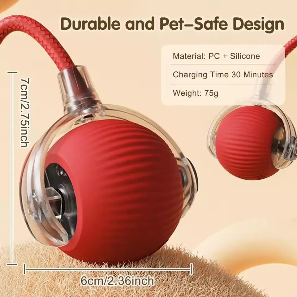 Interactive Motion Cat Toy