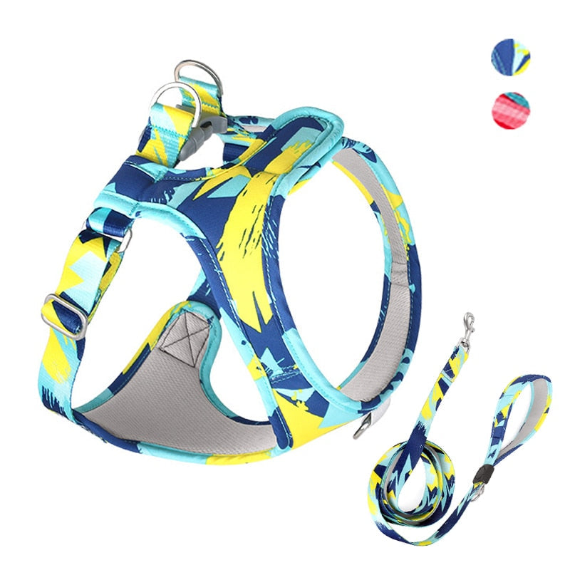 Abstract Secure Cat Harness