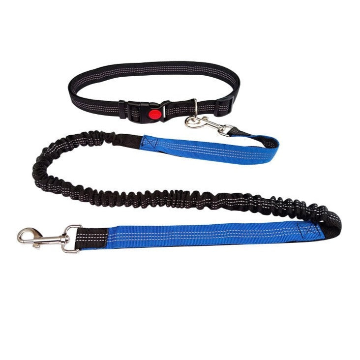 Adjustable Cat Leash