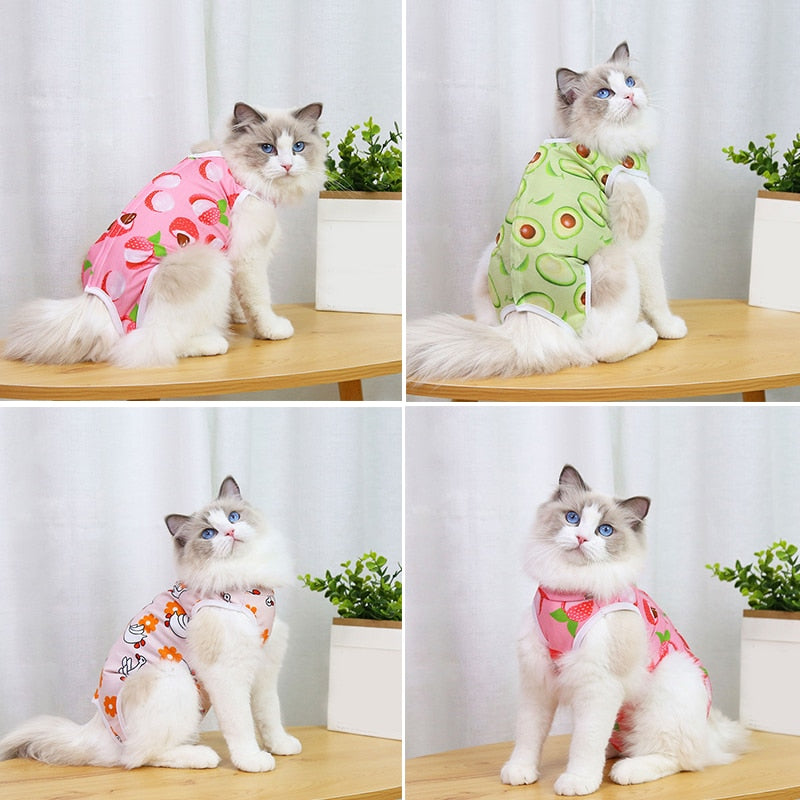 After Surgery Cat Clothes