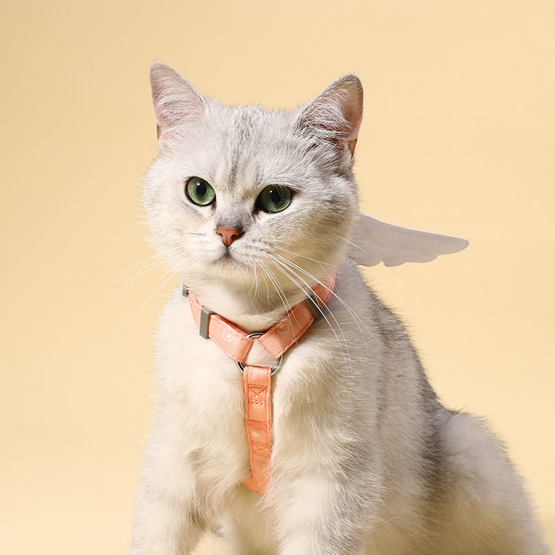 Angel Wing Cat Walking Leash