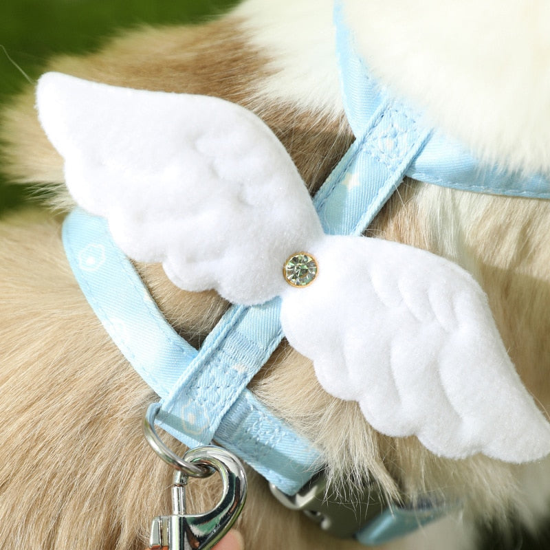 Angel Wing Cat Walking Leash
