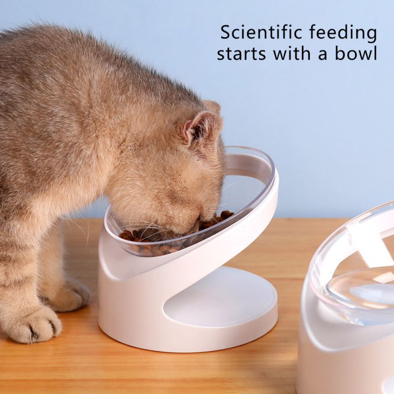 Anti Vomiting Cat Bowl