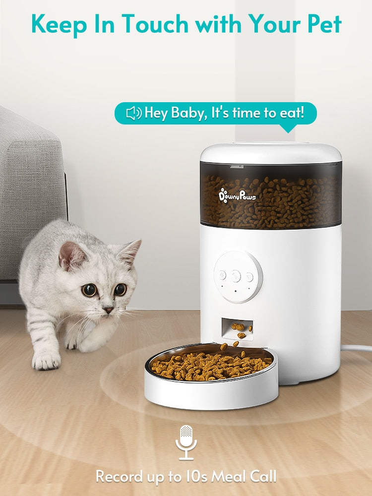 Auto Cat Food Dispenser