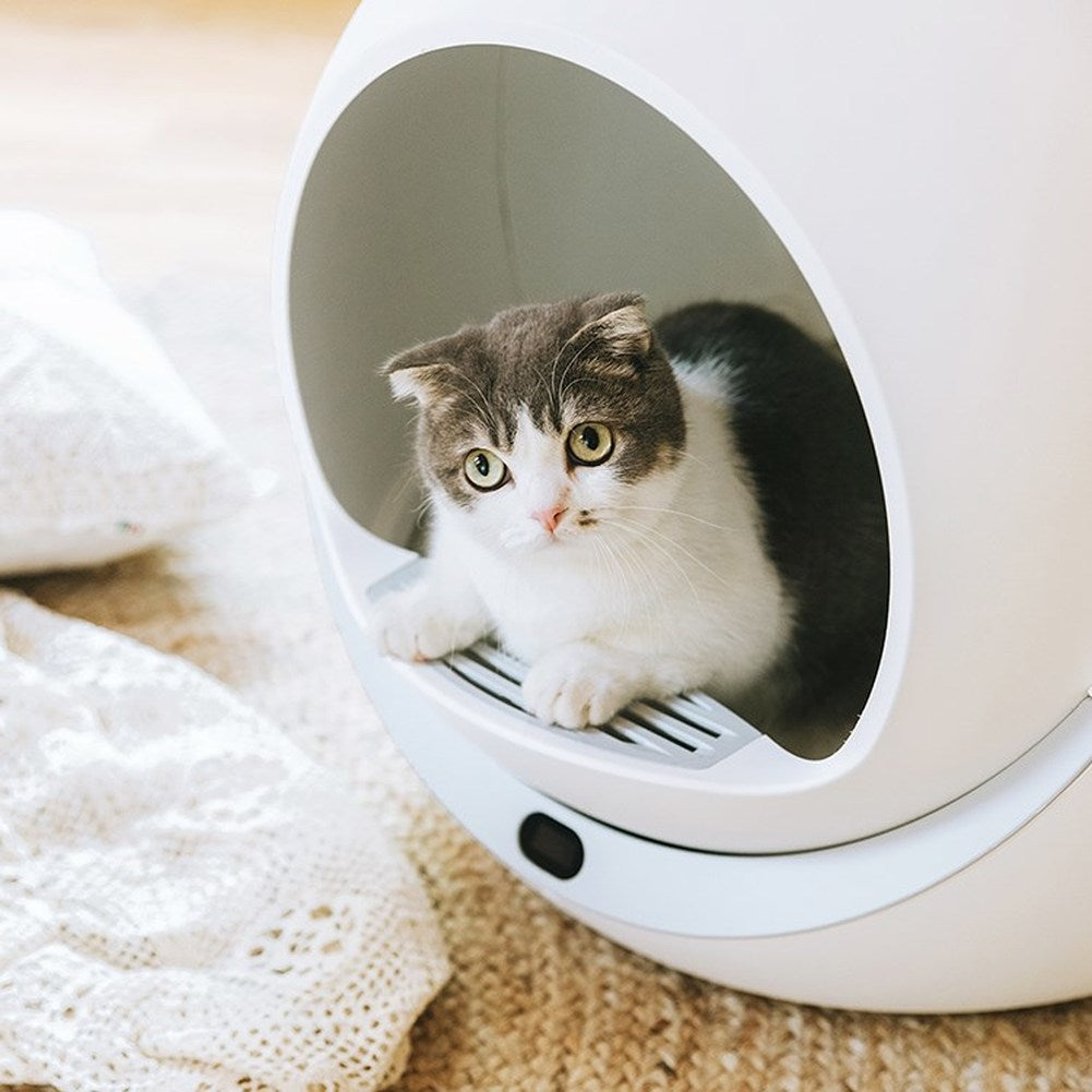 Auto Cat Litter Box