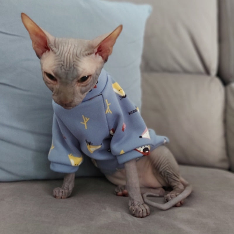 Autumn Clothes for Cats