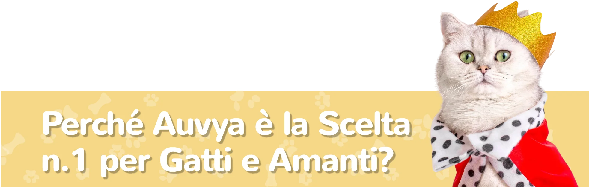 Gatto con corona dorata e mantello rosso sul banner Auvya: “Perché Auvya è la Scelta n.1 per Gatti e Amanti?”