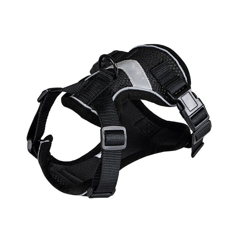 Bengal Cat Harness