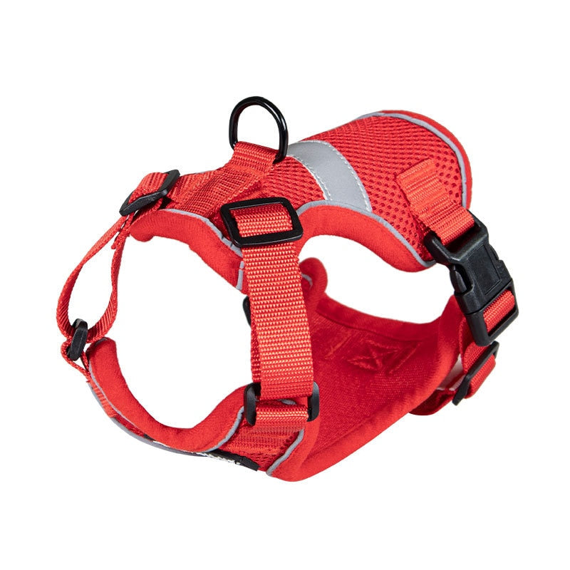 Bengal Cat Harness