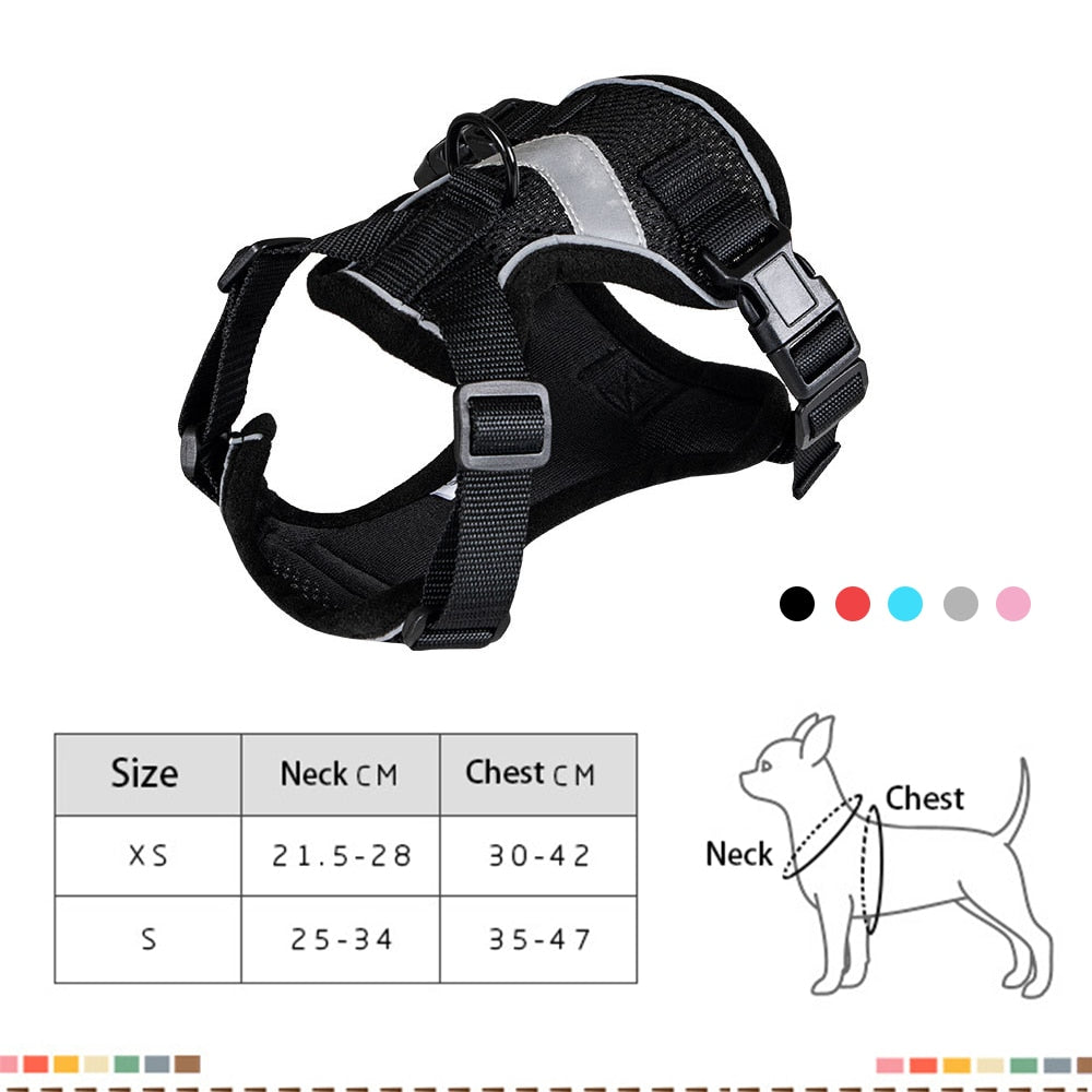 Bengal Cat Harness