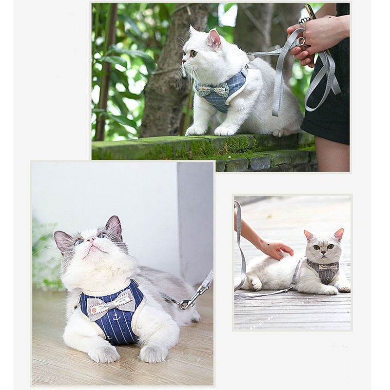 Bowknot Cat Harnesses