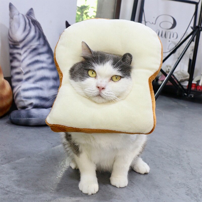 Bread Costume for Cat
