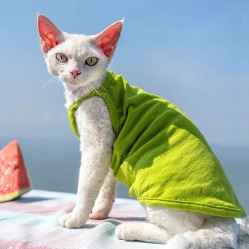 Camisole Clothes for Cats