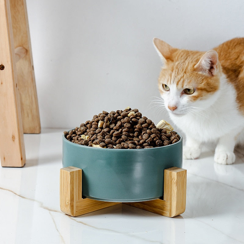 Cat Bowl Stand