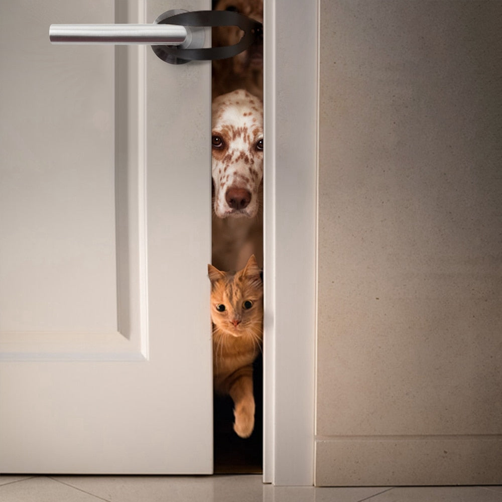 Cat Door Stop