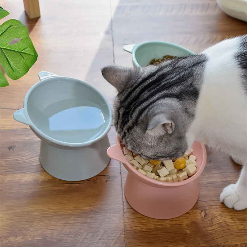 Cat Food Bowls