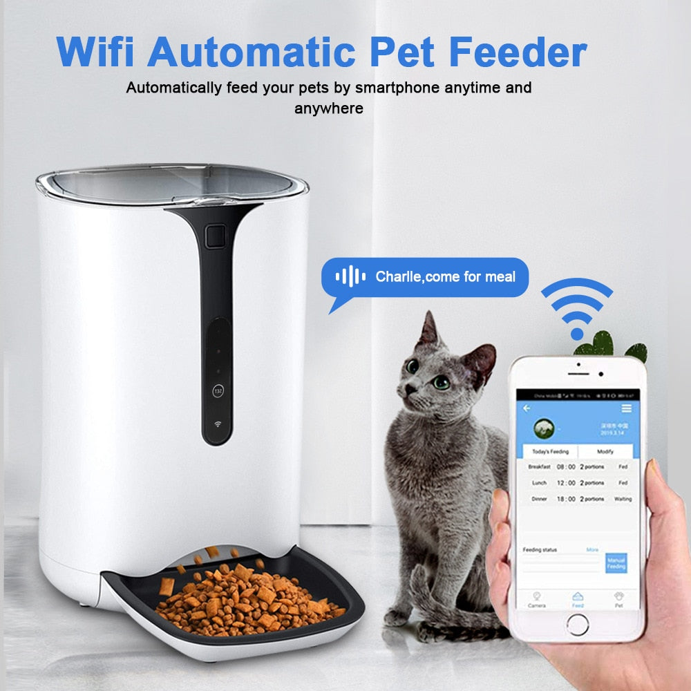 Cat Food Dispenser With Camera