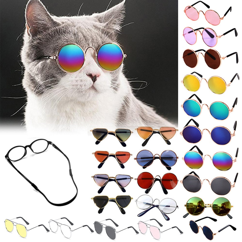 Cat Glasses