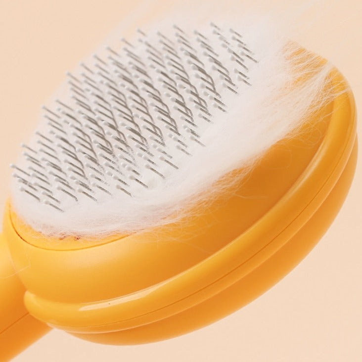 Cat Hair Remover Brush