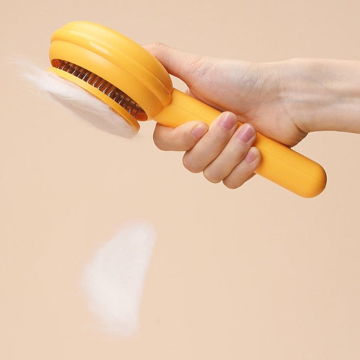 Cat Hair Remover Brush