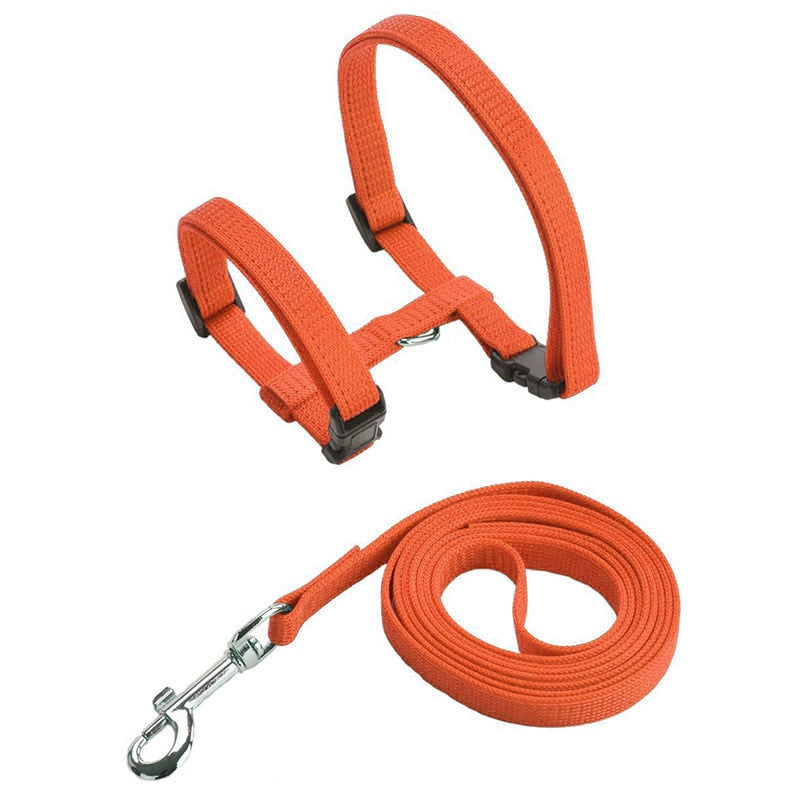 Cat Harness with Neck Buckle