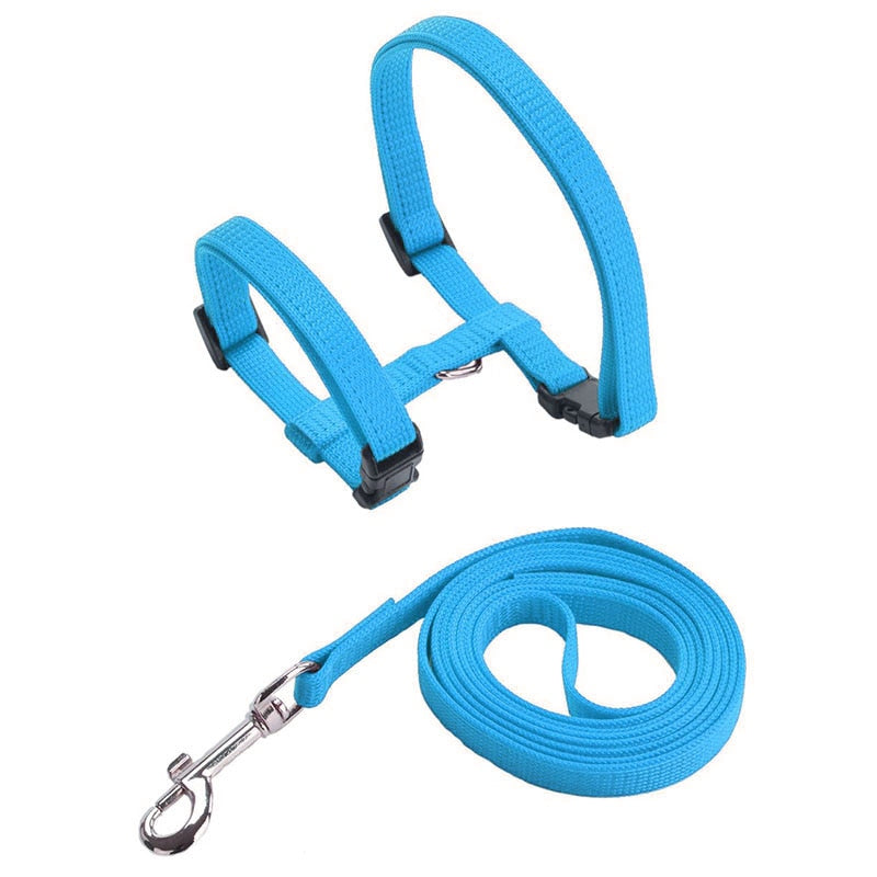 Cat Harness with Neck Buckle