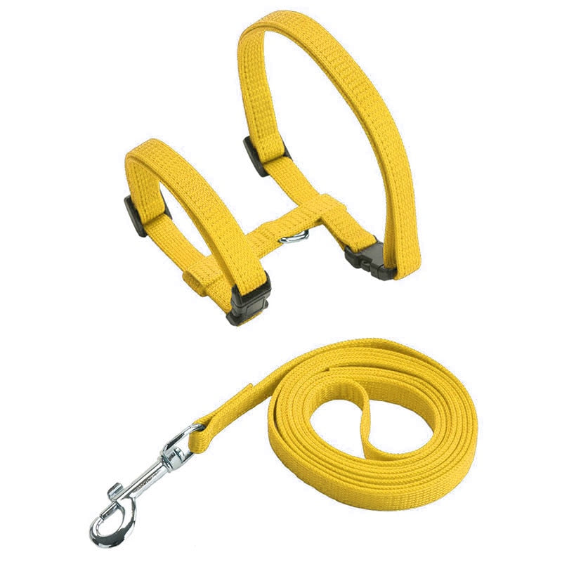 Cat Harness with Neck Buckle