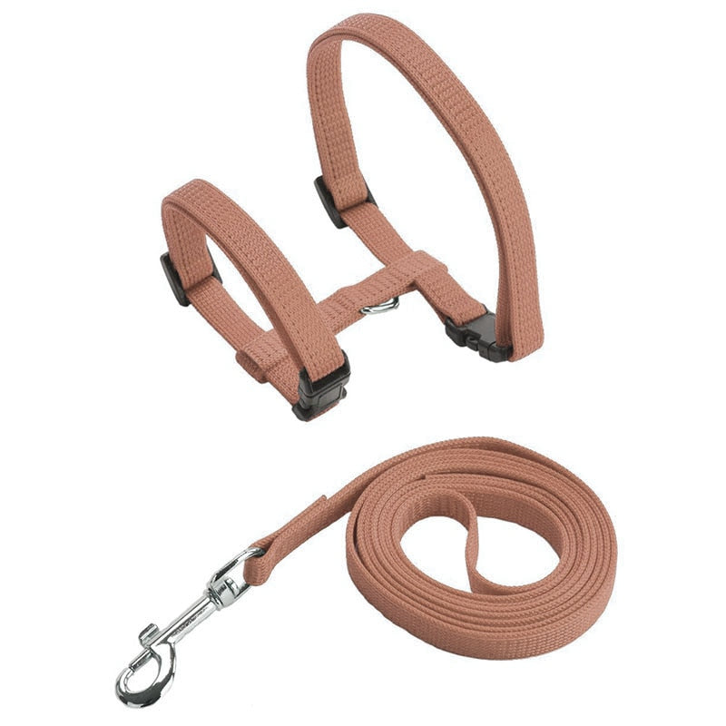 Cat Harness with Neck Buckle