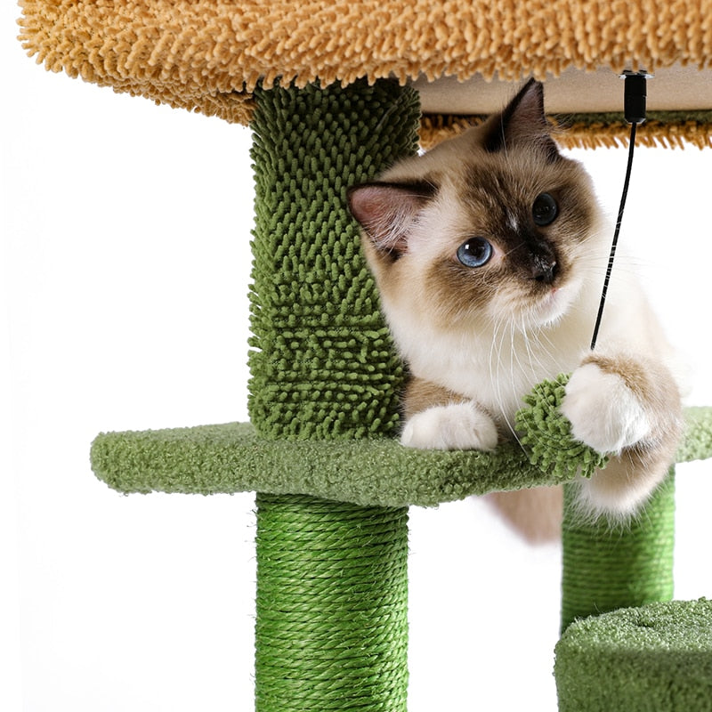 Cat House Scratching Post