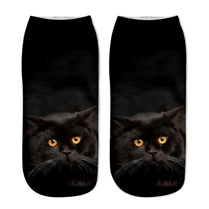Cat in sock