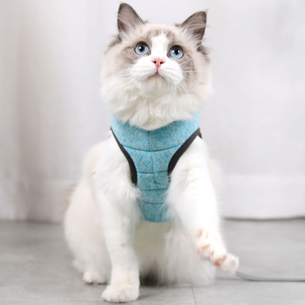 Cat Lightweight Harness