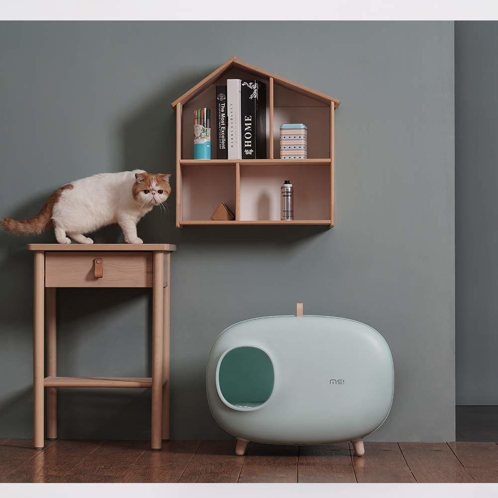 Cat Litter Box House
