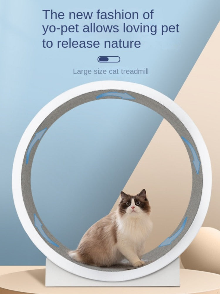 Cat Runner Wheel