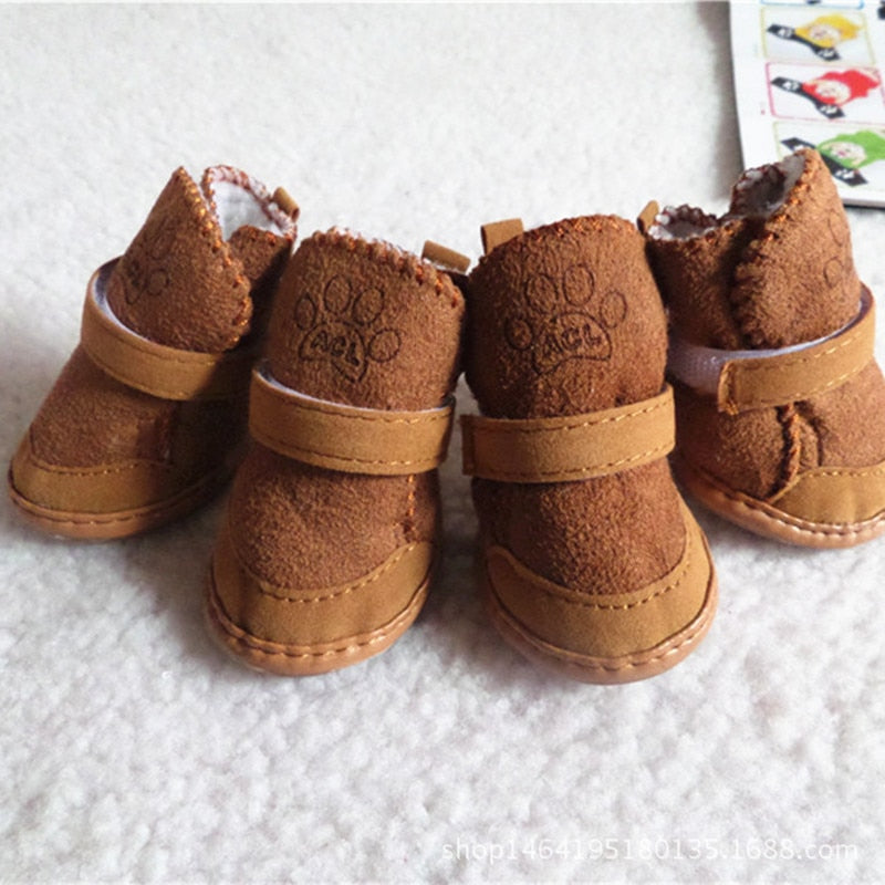 Cat Shoes for Winter