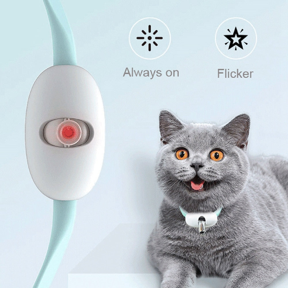 Cat Training Collars