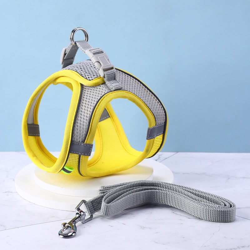 Cat Walking Harness