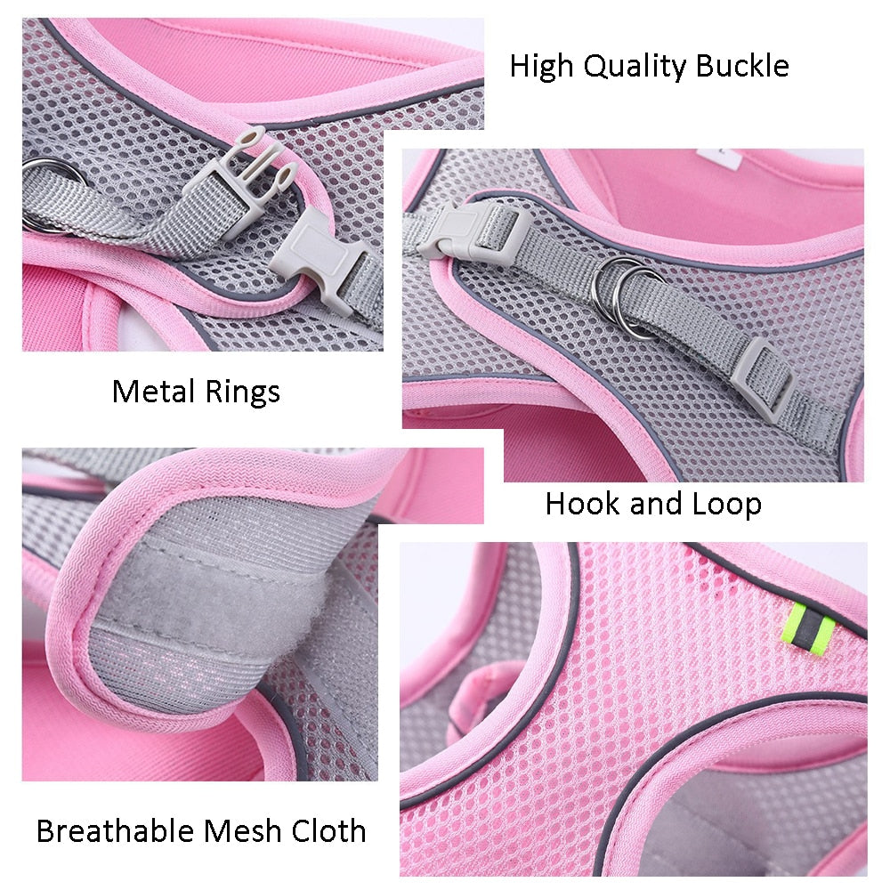 Cat Walking Harness