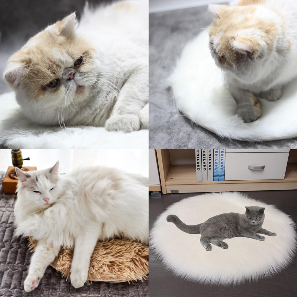 Cat warmer Blanket