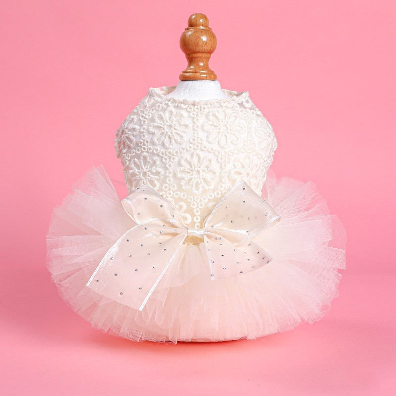 Cat Wedding Dress