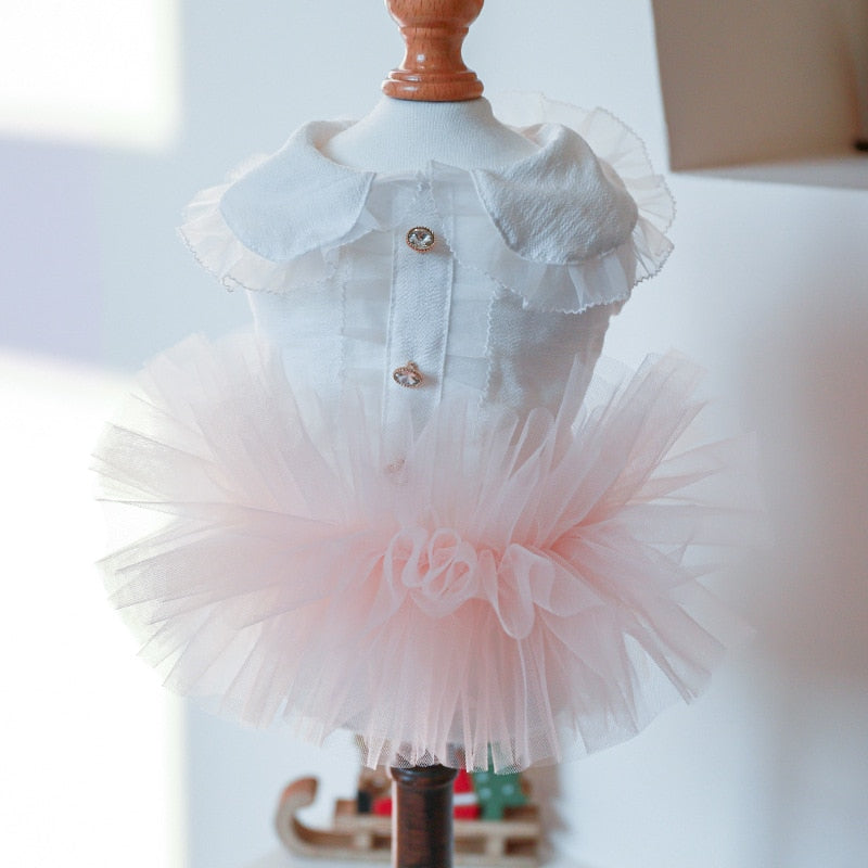 Cat Wedding Dress