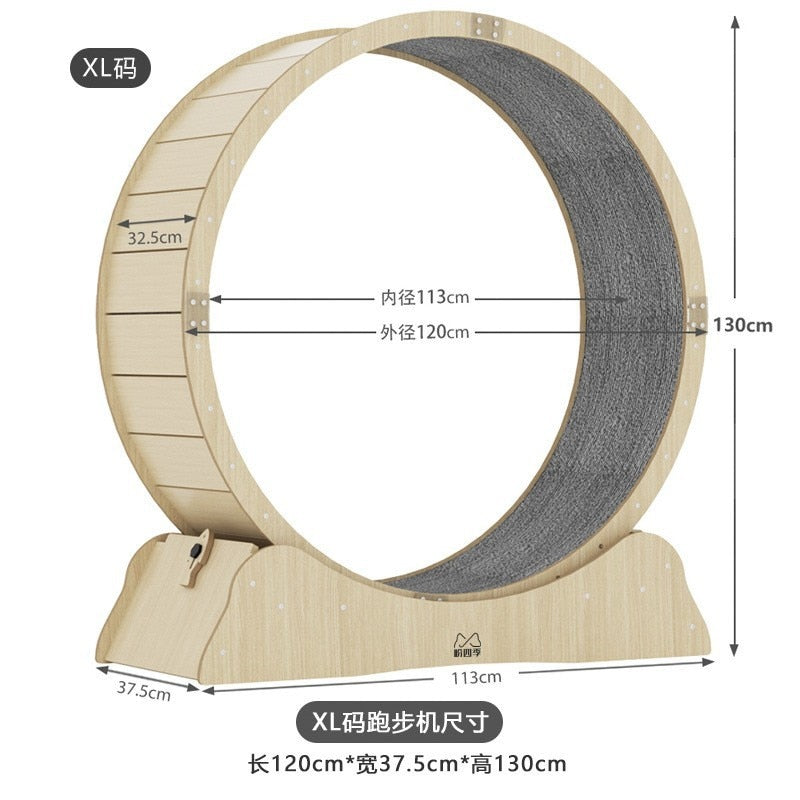 Cat Wheel Exerciser