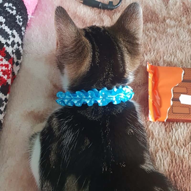 Collars For Small Cats