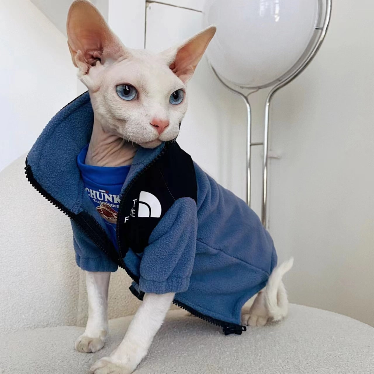 Cool Cat Clothes