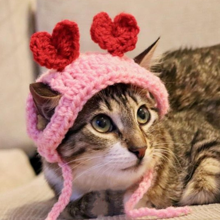 Crochet Beanie for Cat