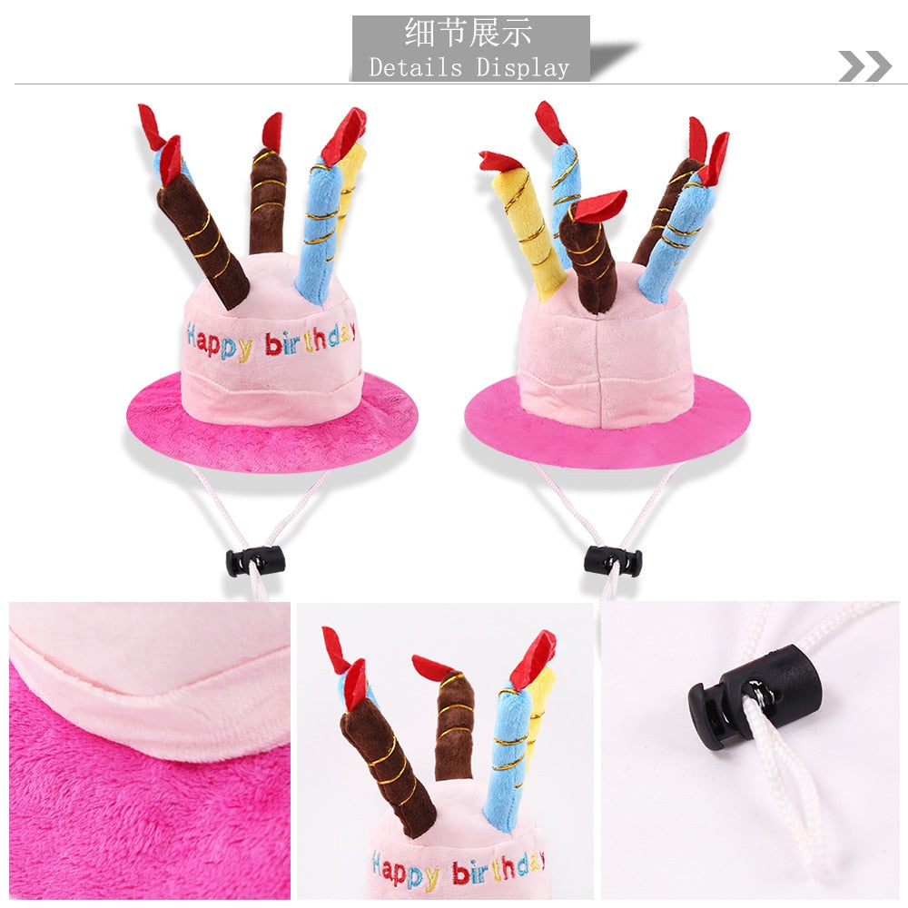 Cute Birthday Hat for Cats