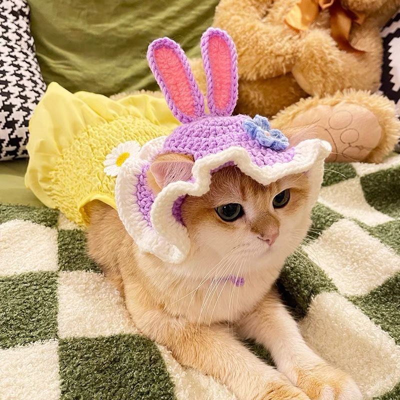 Cute Bucket Hat for Cats