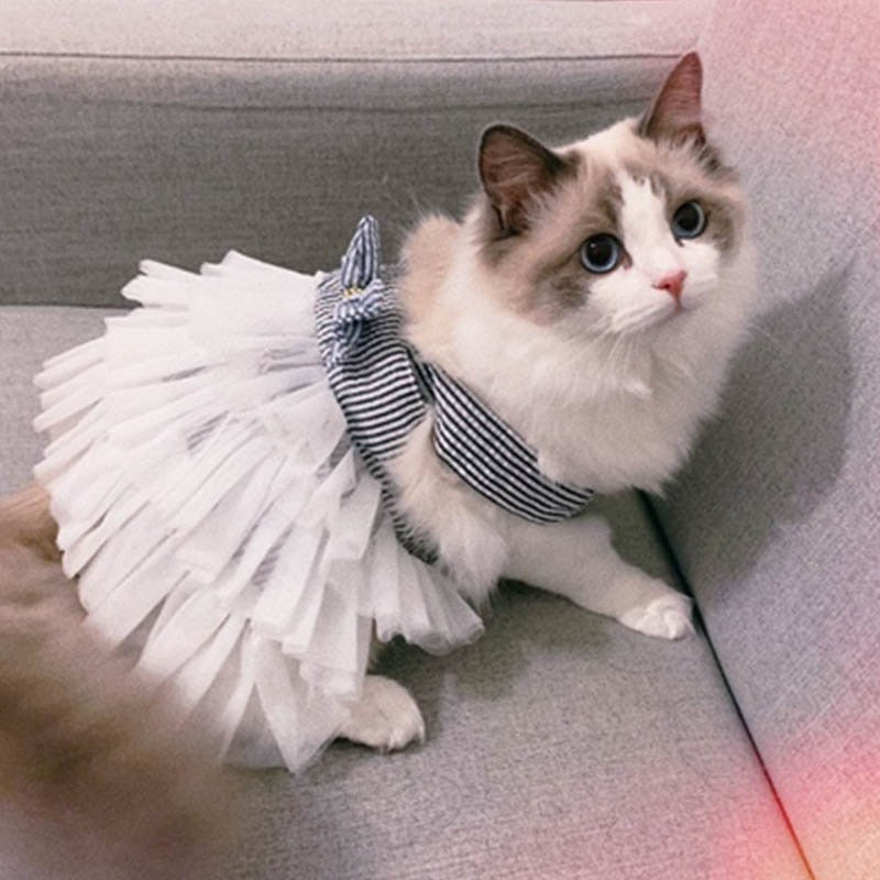 Cute Dress Cat Clothes